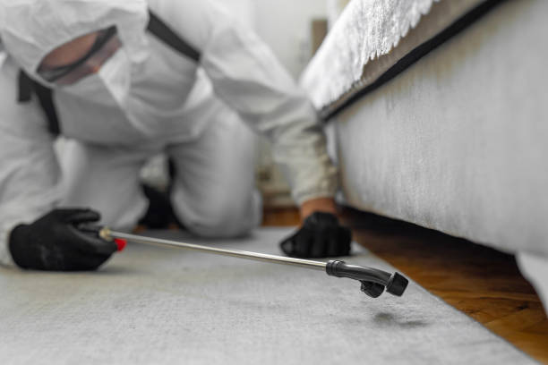 Professional Termite Control technician working in Upper Sandusky, OH