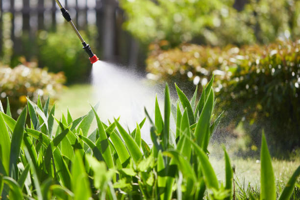 24/7 Emergency Termite Control experts in Upper Sandusky, OH