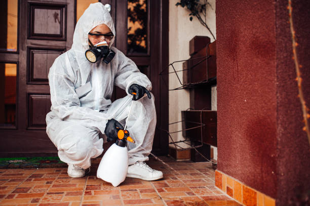 Reliable Termite Control contractor in Upper Sandusky, OH by Nex Pest Control