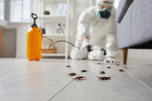 Affordable Termite Control solutions in Upper Sandusky, OH