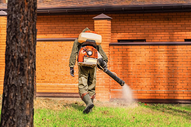 Top rated local Termite Control specialists in Upper Sandusky, OH